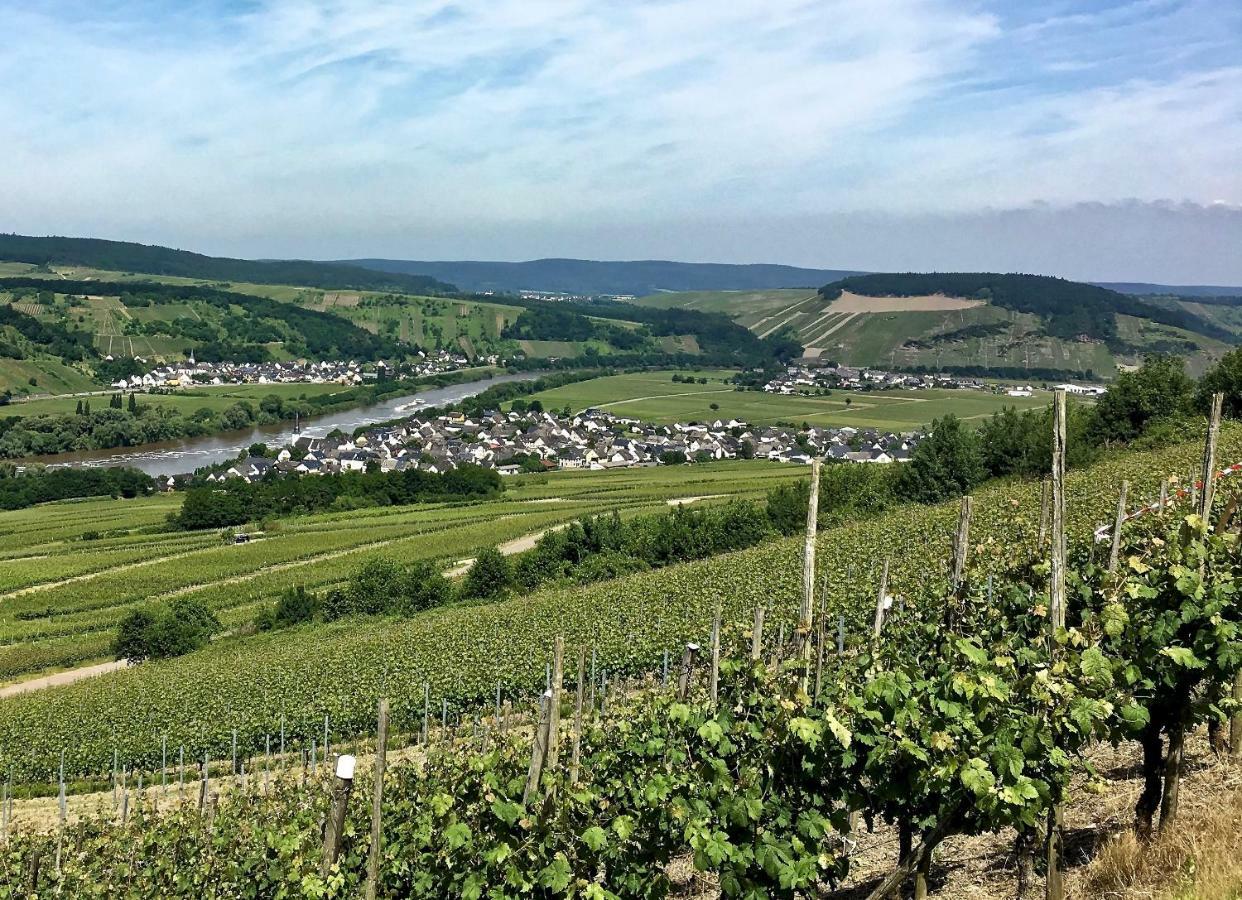 Gaestehaus Hoffmann Farschweiler Luaran gambar